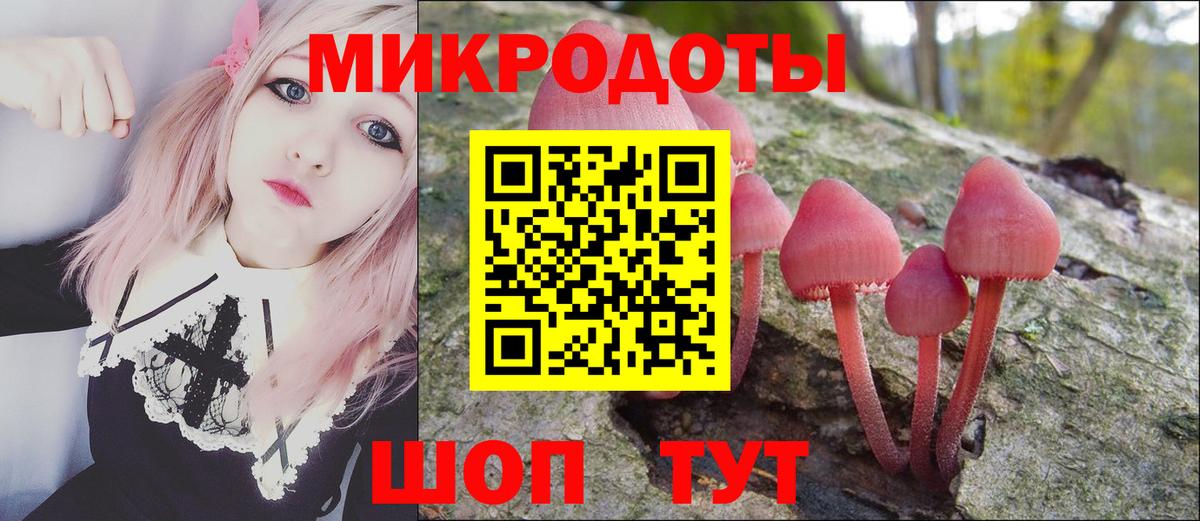 Губкин  Галлюциногенные грибы ЛСД  Вход с VPN  Псилоцибиновые грибы мухоморы 
