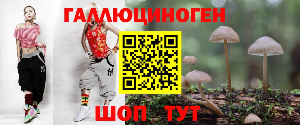 Галлюциногенные грибы мухоморы Губкин